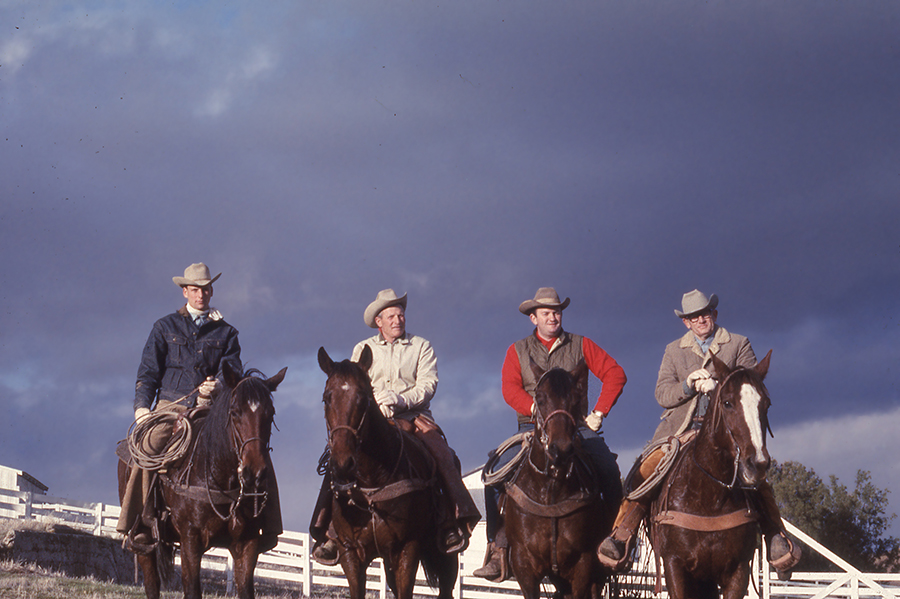 Cowboys, Adobe Springs Olive OIl