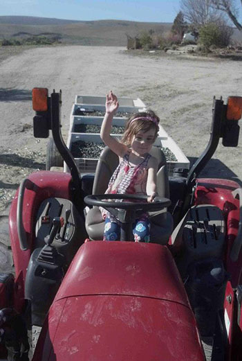 Izabella Chaples on Tractor