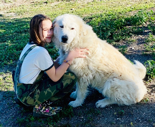 Izzy and Sonni, Adobe Springs Olive Farm